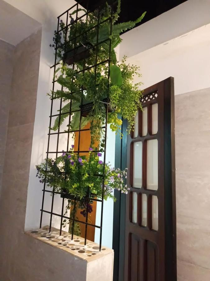 Home Mark Casa Boutique Пайпа Экстерьер фото